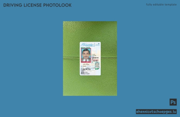 USA Tennessee Führerschein unter 21 Jahren Fotoansicht Beispielvorschau